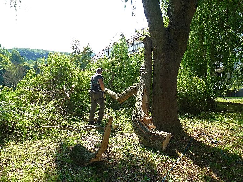 Sturmschaden auch in Sondershausen