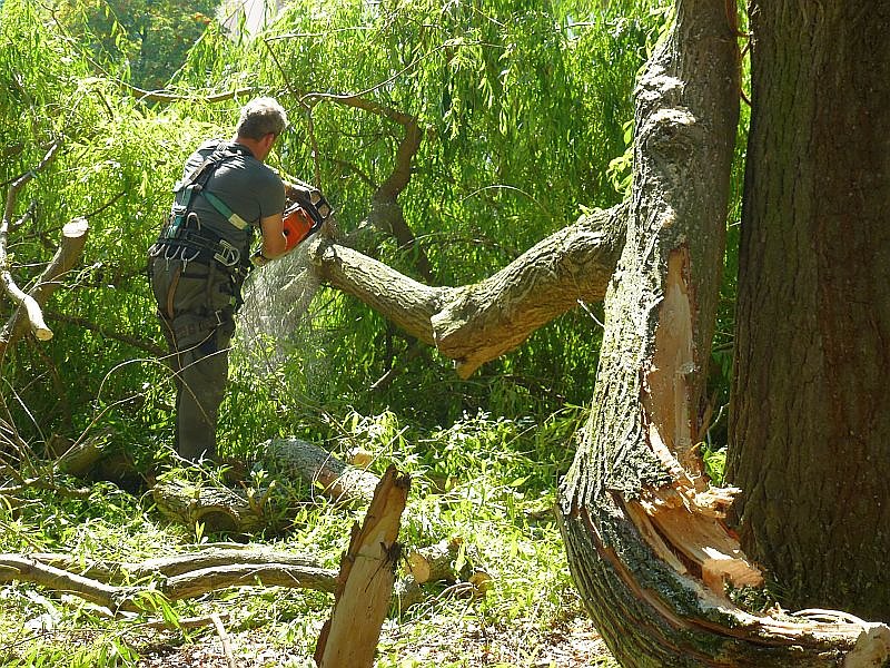 Sturmschaden auch in Sondershausen