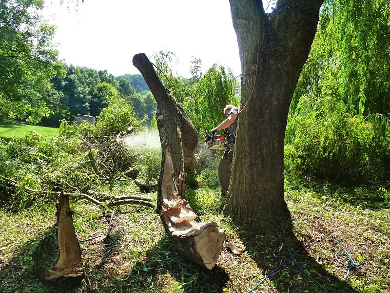 Sturmschaden auch in Sondershausen