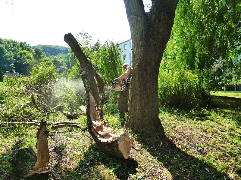 Sturmschaden auch in Sondershausen