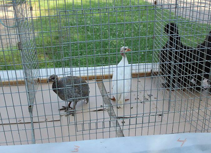 Spielend Kinder begeistern