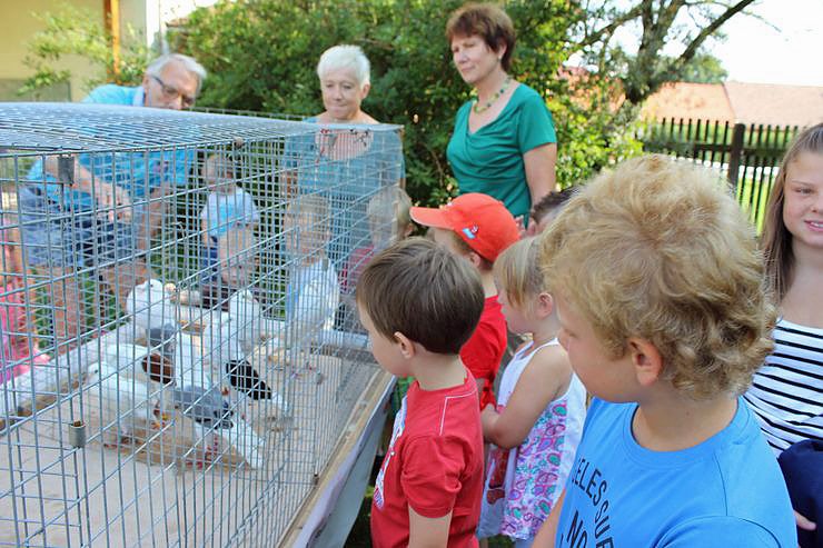 Spielend Kinder begeistern