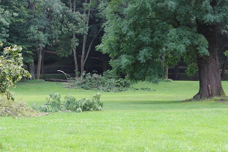 Von wegen nur Sturmschaden!