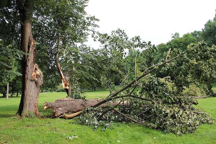 Von wegen nur Sturmschaden!