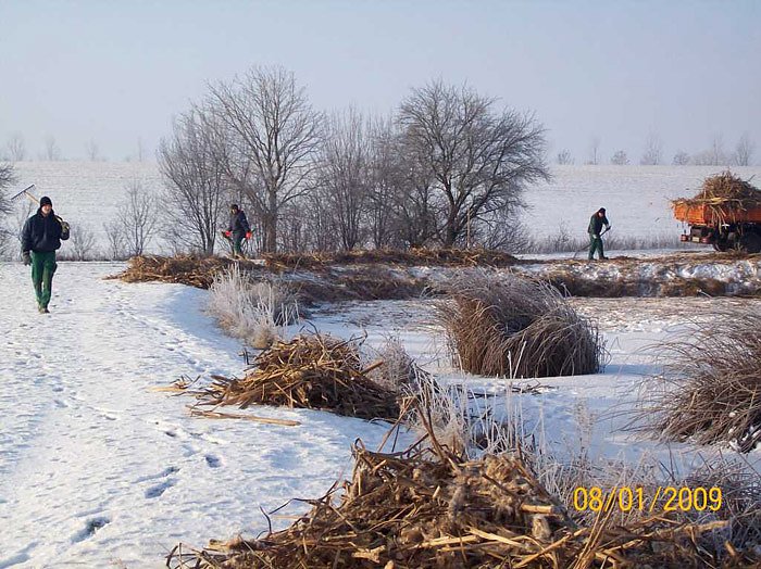Pflege Teichkl&auml;ranlagen