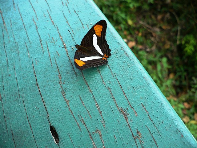 Wasserf&auml;lle Igacu