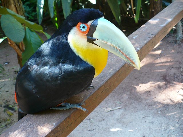 Wasserf&auml;lle Igacu