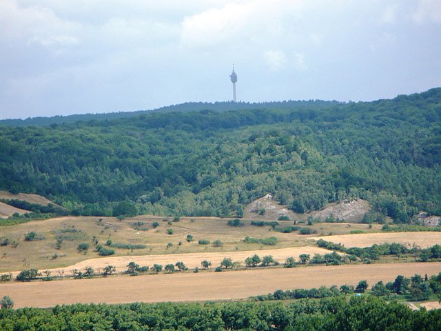 Wirtschaftsforum Sondershausen 2009