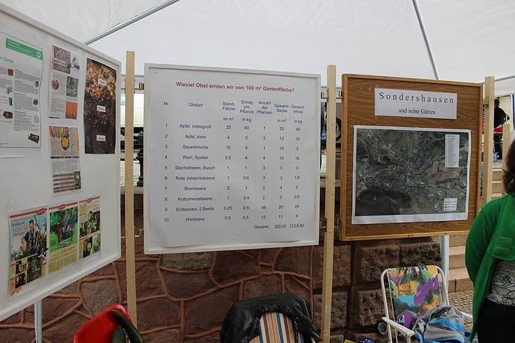 Besuch beim Pflanzenmarkt lohnt