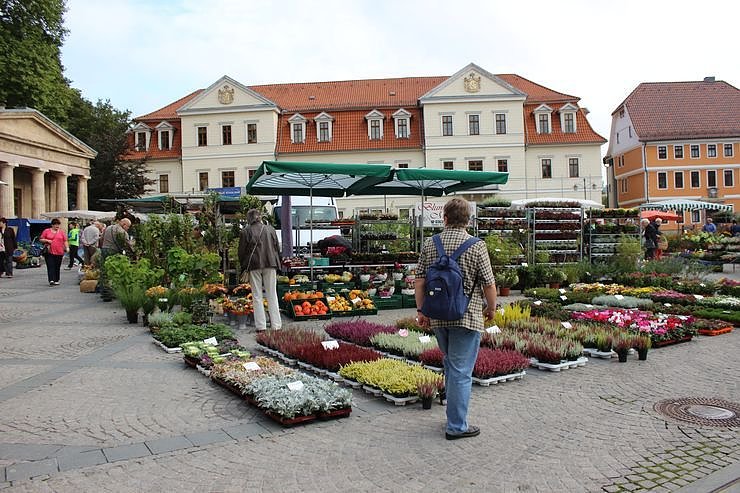 Besuch beim Pflanzenmarkt lohnt