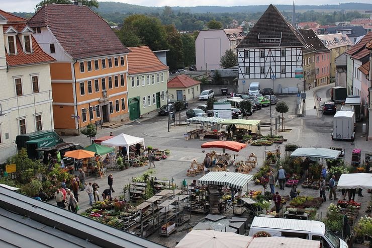 Besuch beim Pflanzenmarkt lohnt