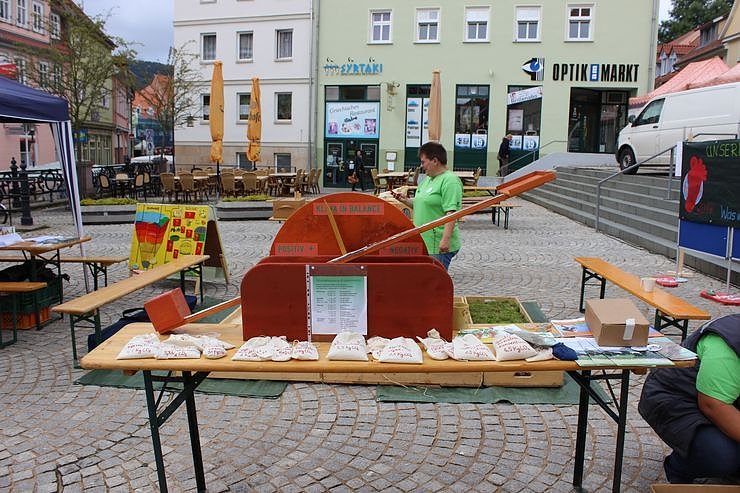 Besuch beim Pflanzenmarkt lohnt