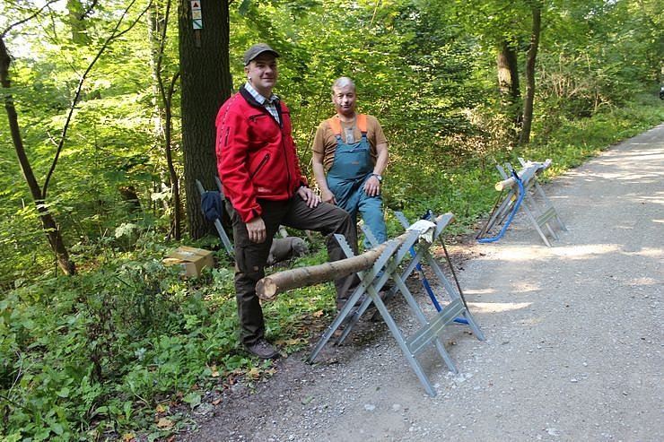 Waldjugendspiele gestartet