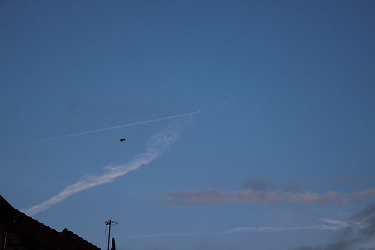 Bauernheer zog durch Bad Frankenhausen