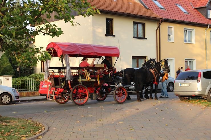 Impressionen vom Bauernmarkt