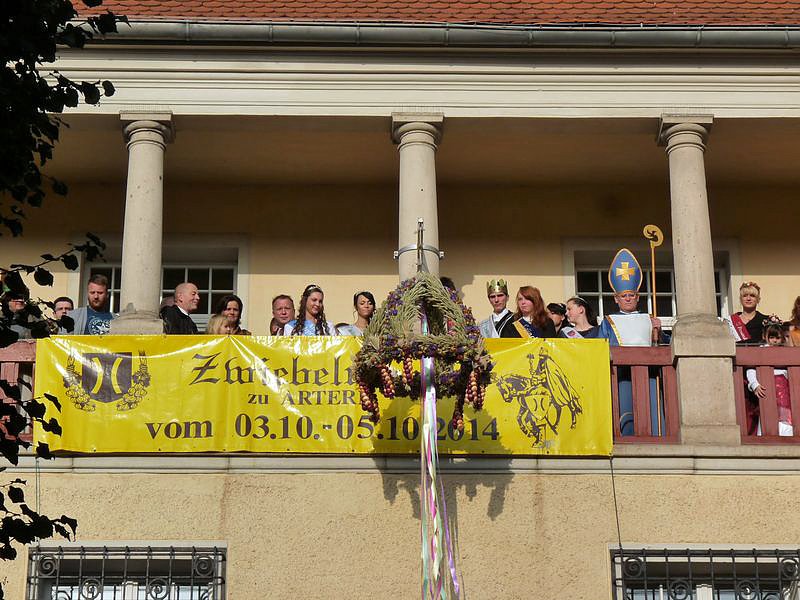 Zwiebeln &uuml;ber Zwiebeln