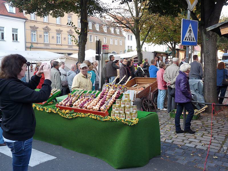 Zwiebeln &uuml;ber Zwiebeln