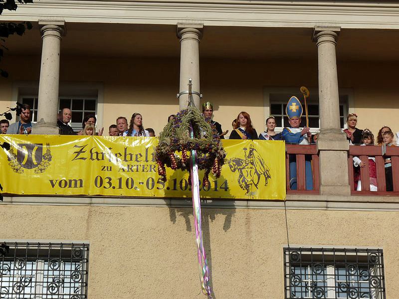 Zwiebeln &uuml;ber Zwiebeln