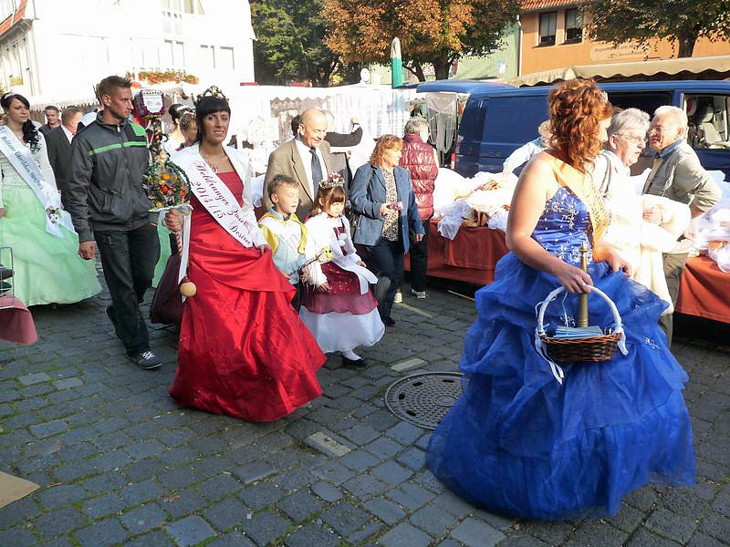 Zwiebeln &uuml;ber Zwiebeln