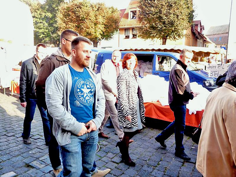 Zwiebeln &uuml;ber Zwiebeln