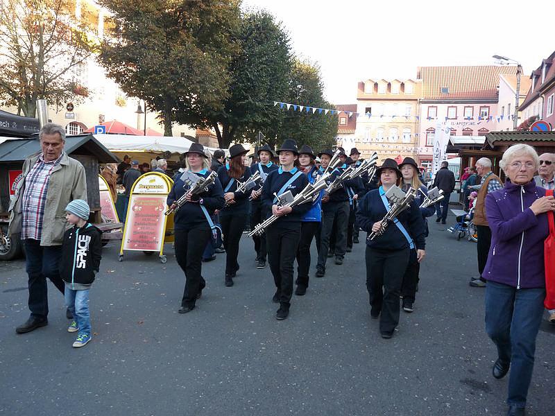 Zwiebeln &uuml;ber Zwiebeln