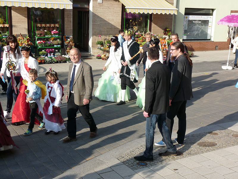 Zwiebeln &uuml;ber Zwiebeln