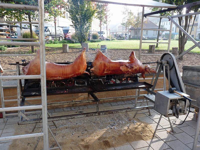 Zwiebeln &uuml;ber Zwiebeln