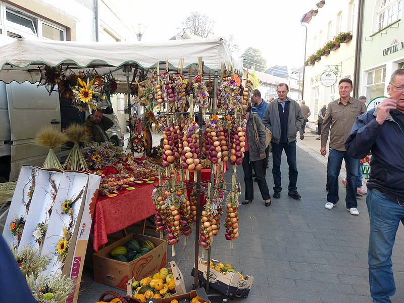 Zwiebeln &uuml;ber Zwiebeln