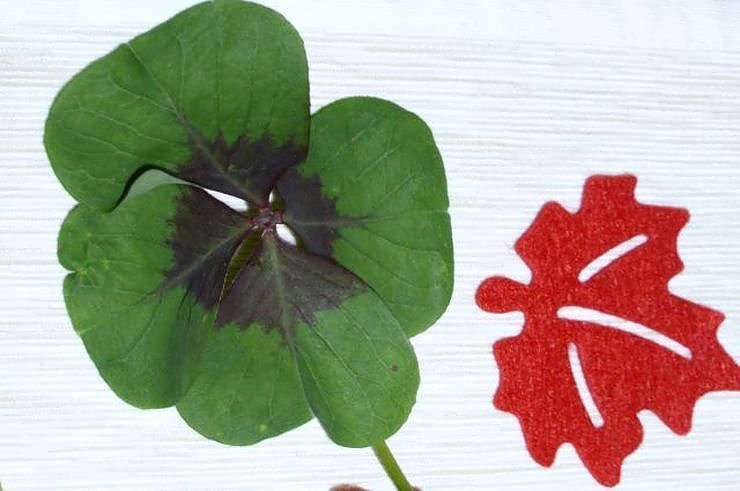 Buntes Herbstfest im WB 4