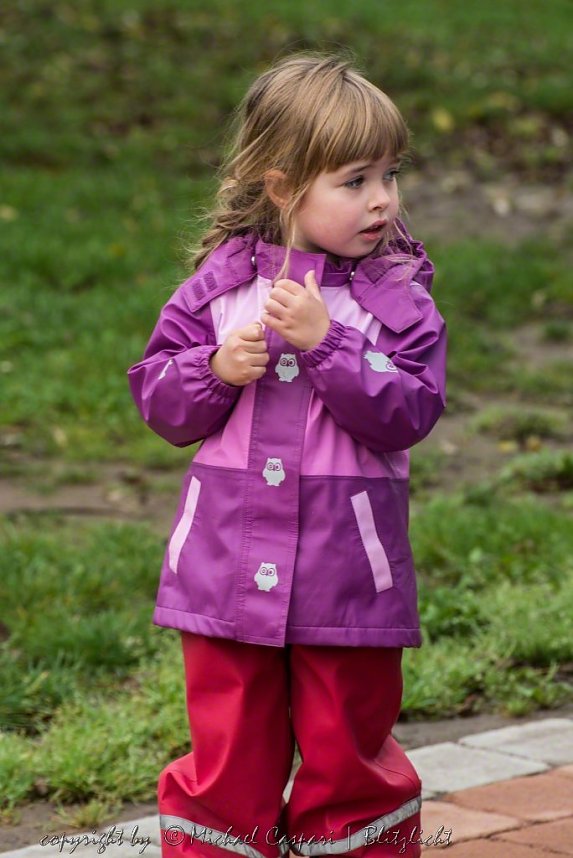 Therapiehunde unterwegs