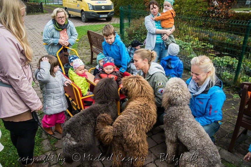 Therapiehunde unterwegs