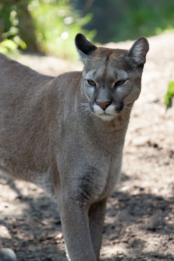 Besuch im Zoo am Meer