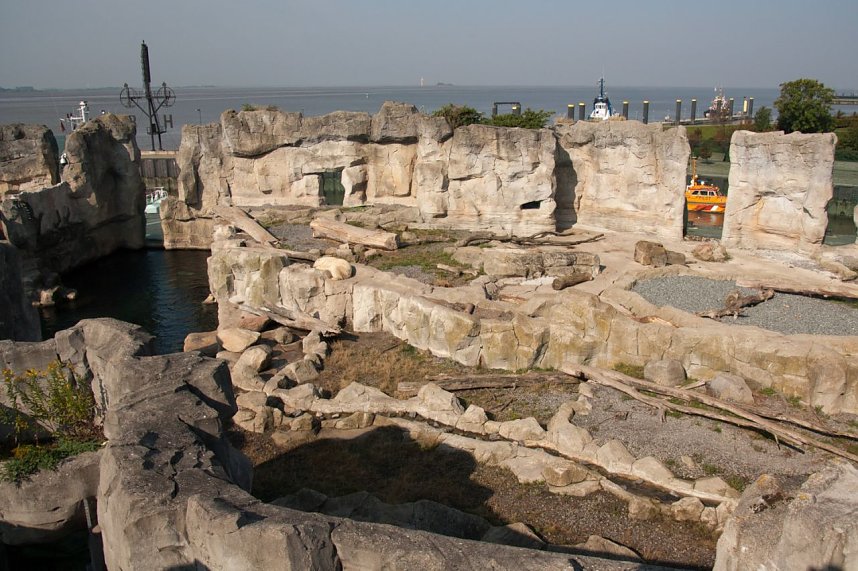 Besuch im Zoo am Meer