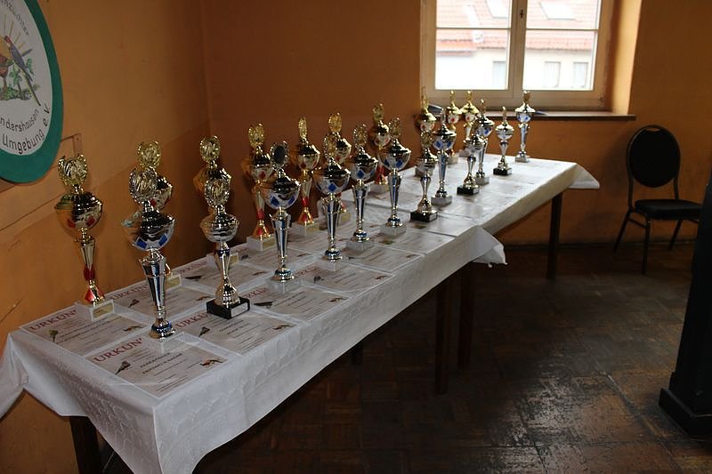 Zauberhafte Ausstellung