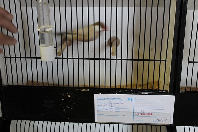 Zauberhafte Ausstellung