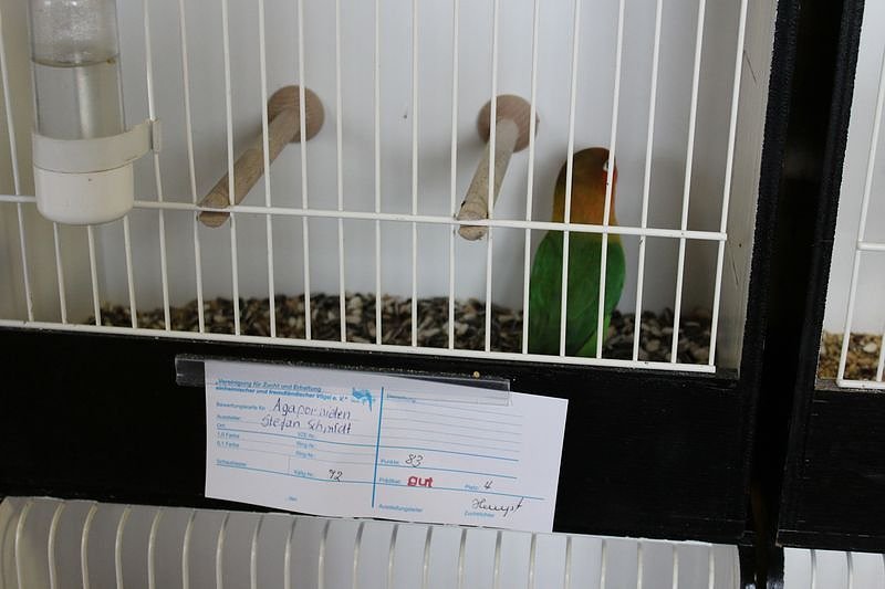 Zauberhafte Ausstellung