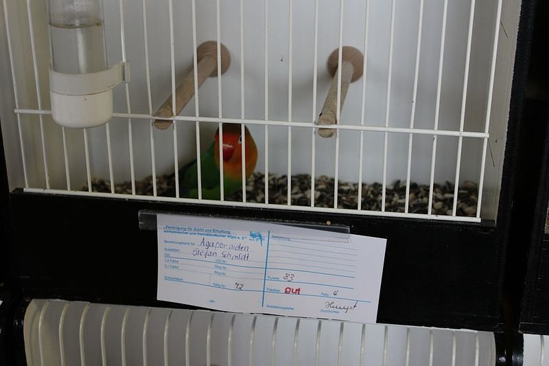 Zauberhafte Ausstellung