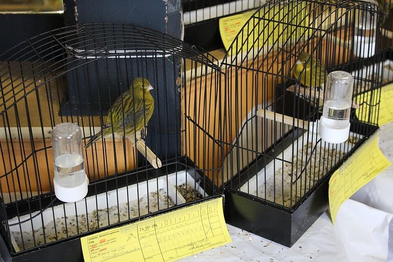 Zauberhafte Ausstellung