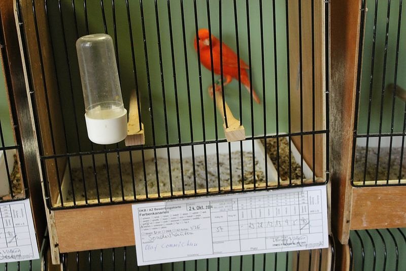 Zauberhafte Ausstellung