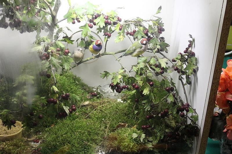 Zauberhafte Ausstellung