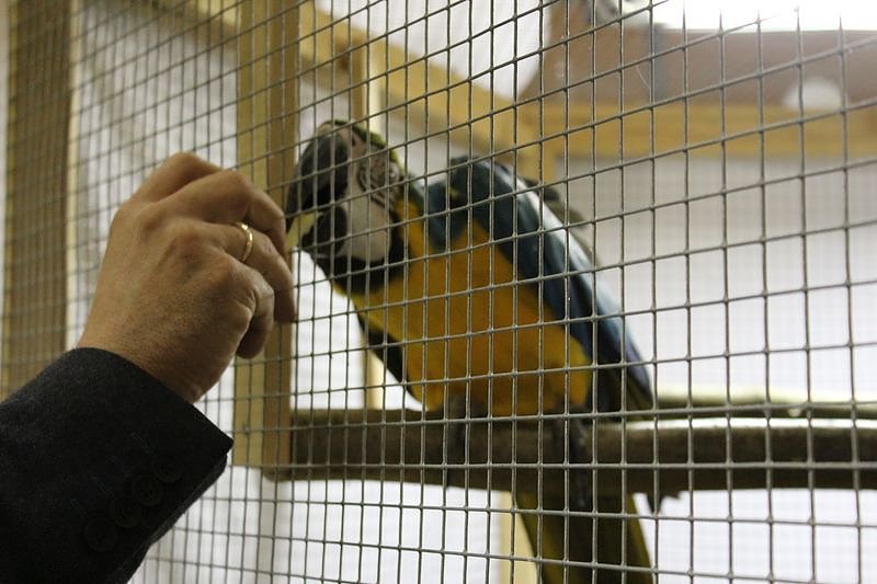 Zauberhafte Ausstellung