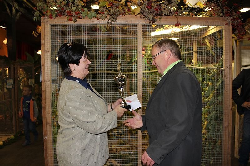 Zauberhafte Ausstellung