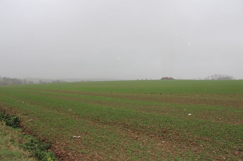 Weiteres zum Brand bei Bendeleben