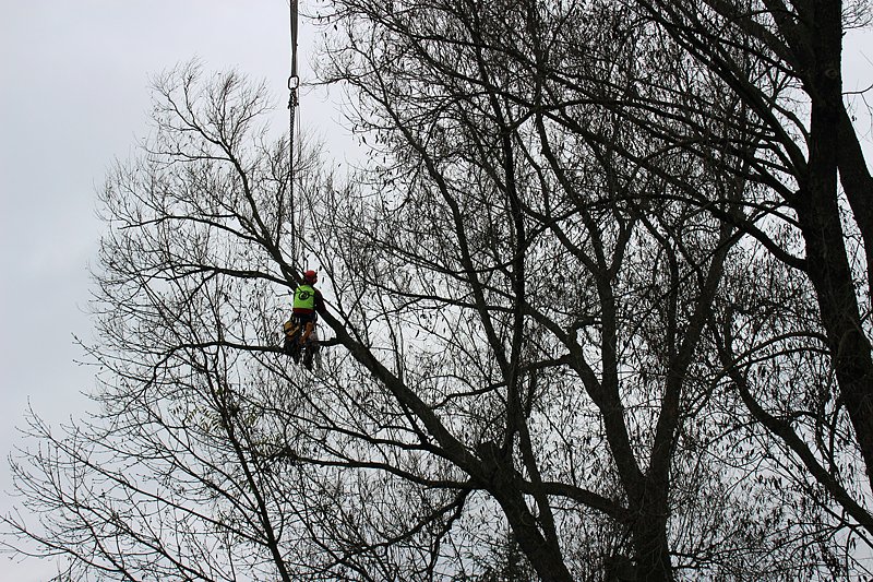 Da muss man schwindelfrei sein
