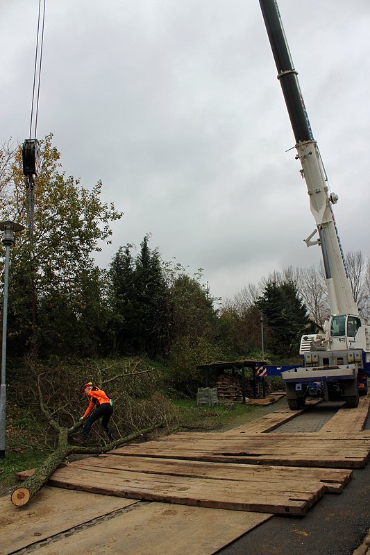 Da muss man schwindelfrei sein