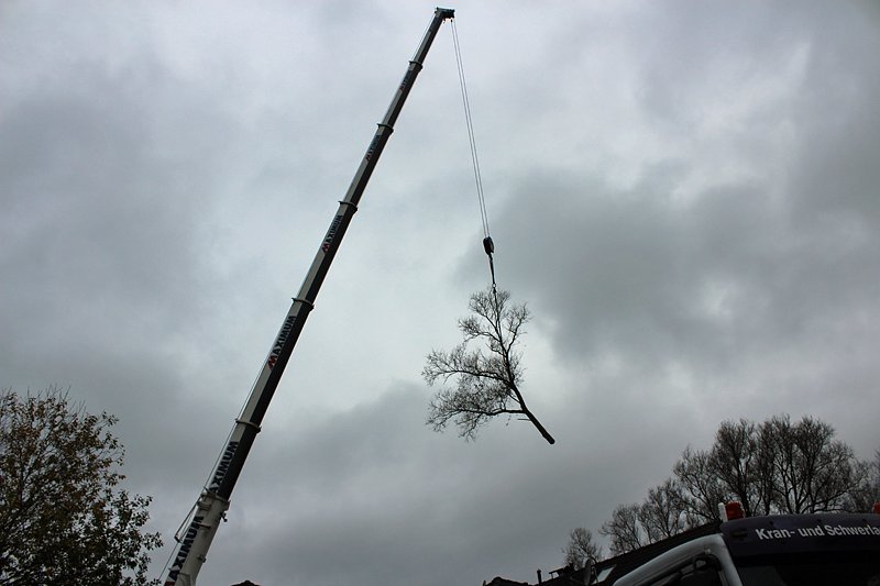 Da muss man schwindelfrei sein