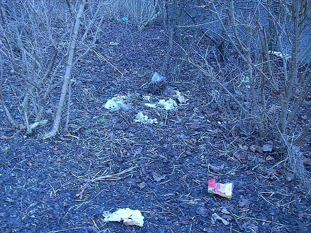 M&uuml;ll in der Stadt