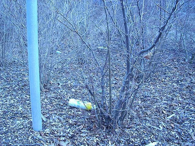 M&uuml;ll in der Stadt