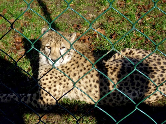 Weihnachten auf dem Possen