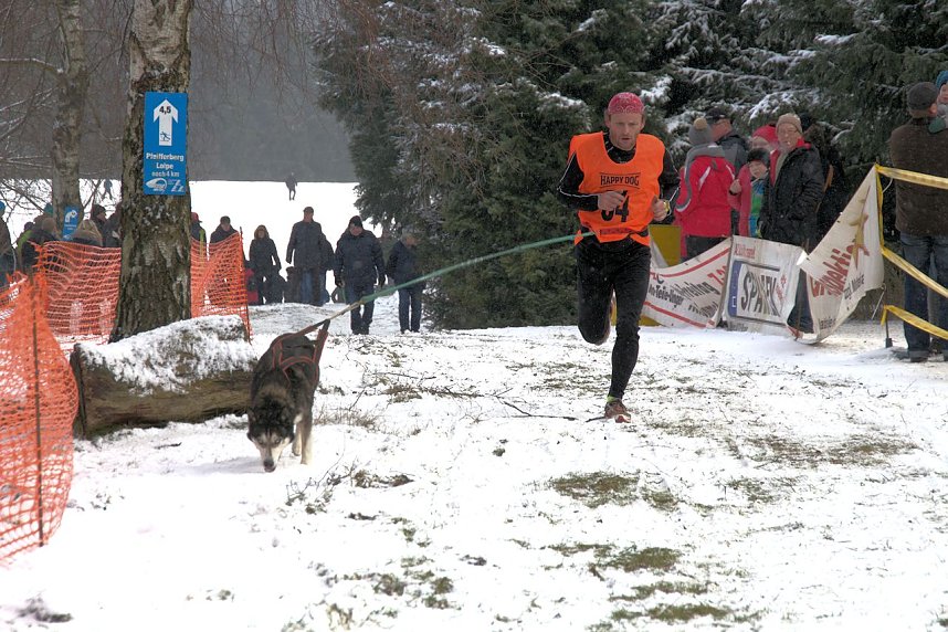 Schlittenhunderennen in Benneckenstein